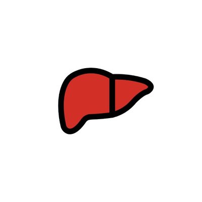 Liver